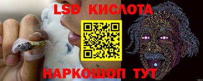 эйфоретик Малгобек