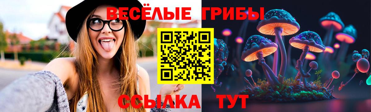 Псилоцибиновые грибы GOLDEN TEACHER  Вход с VPN  Губкинский  Псилоцибиновые грибы Psilocybe 